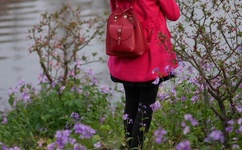 冰狼2.4免费版下载